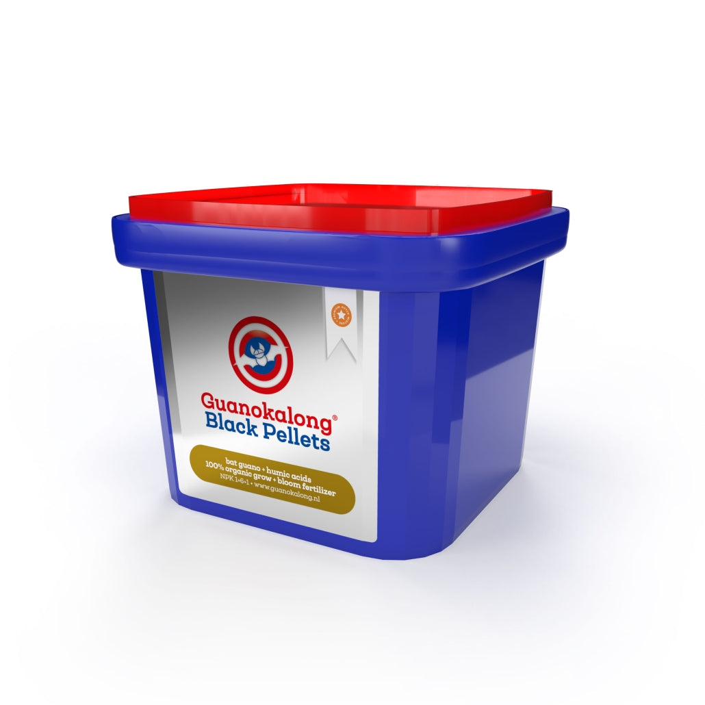 Culot noir guanokalong