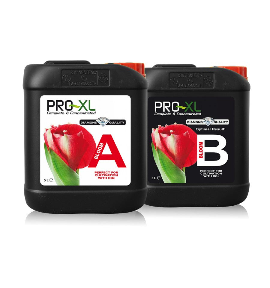 Bloom A&B Pro-XL - Engrais | Développer l’industrie