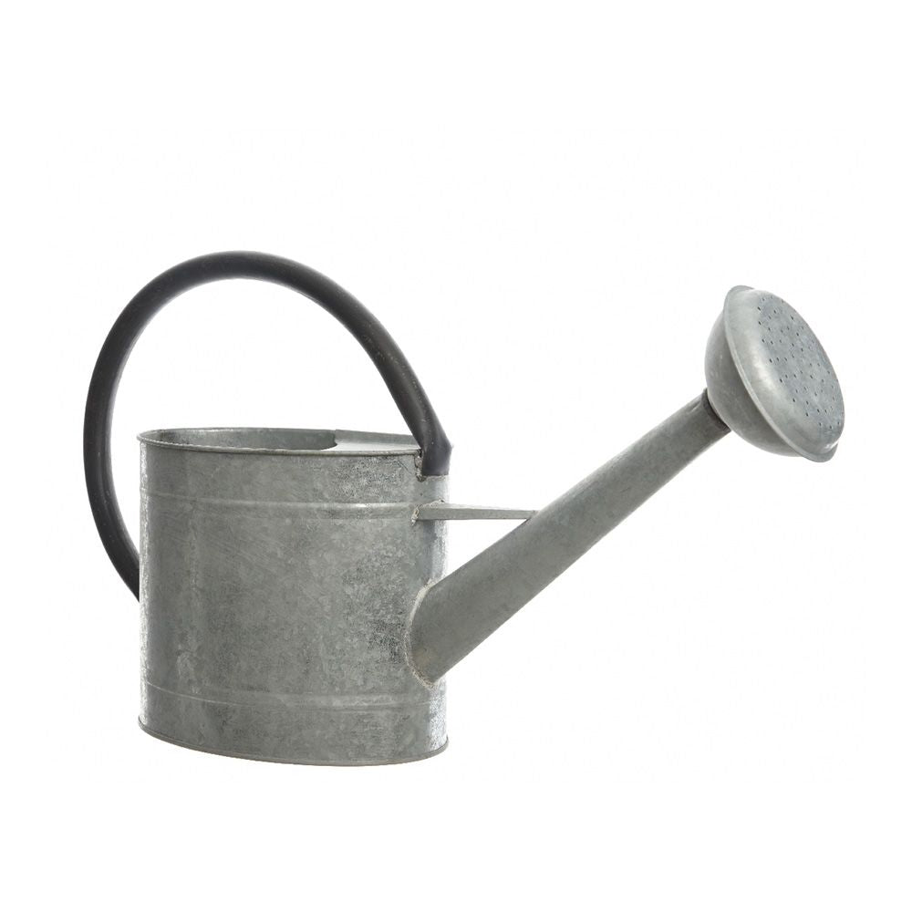 Decoris Regadera de zinc de 5 litros decorativa