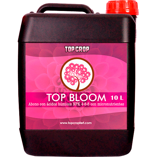 Top Crop Top Bloom 10L
