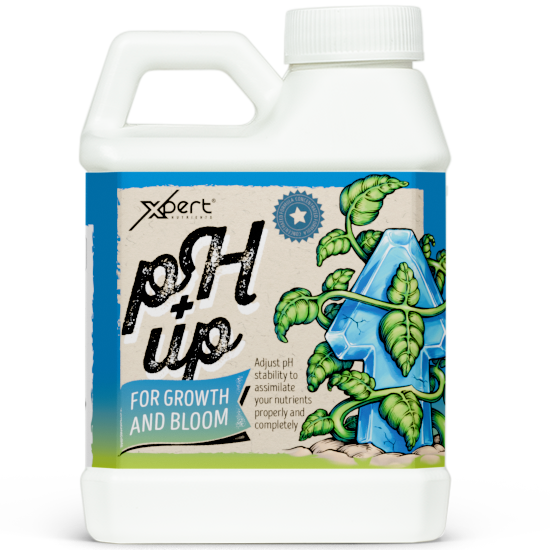 Xpert Nutrients pH Up – Regulador Elevador de pH para Solución Nutritiva