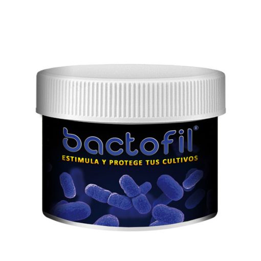 BactoFil AGROBACTERIAS - Vue 2 | Développer l’industrie