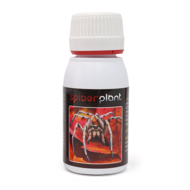 Agrobacterias Spider Plant 60ml