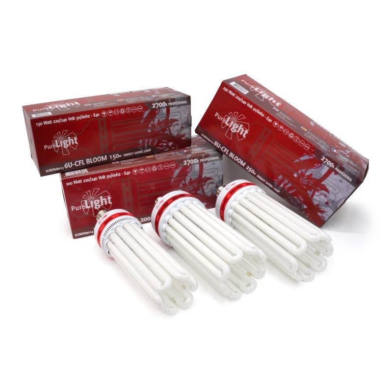 Pure Light CFL E40 Bulb – Low Consumption from 125W to 250W in Bloom and Mixed GreenPower