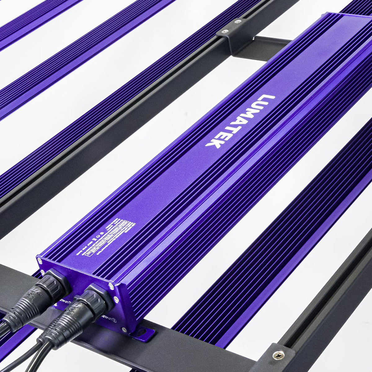 Zeus 1000W PRO EVO 3.1 Lumatek LED-System - Vista 4 | Wachsen Sie die Branche