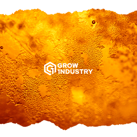 ¿Cómo aumentar la producción de resina en mis plantas? - GROW 1NDUSTRY