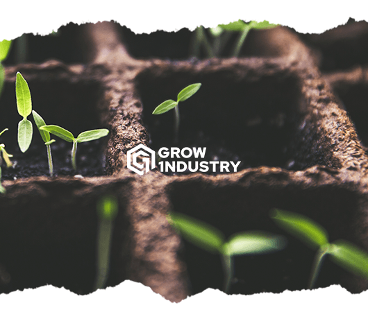 5 razones molonas para autocultivar - GROW 1NDUSTRY