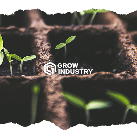 5 razones molonas para autocultivar - GROW 1NDUSTRY