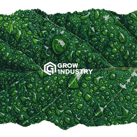 5 claves para regar tus plantas perfectamente - GROW 1NDUSTRY