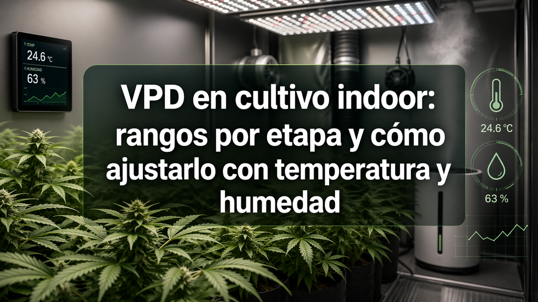 VPD en cultivo indoor