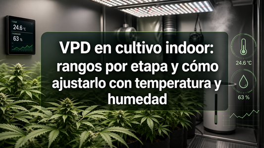 VPD en cultivo indoor