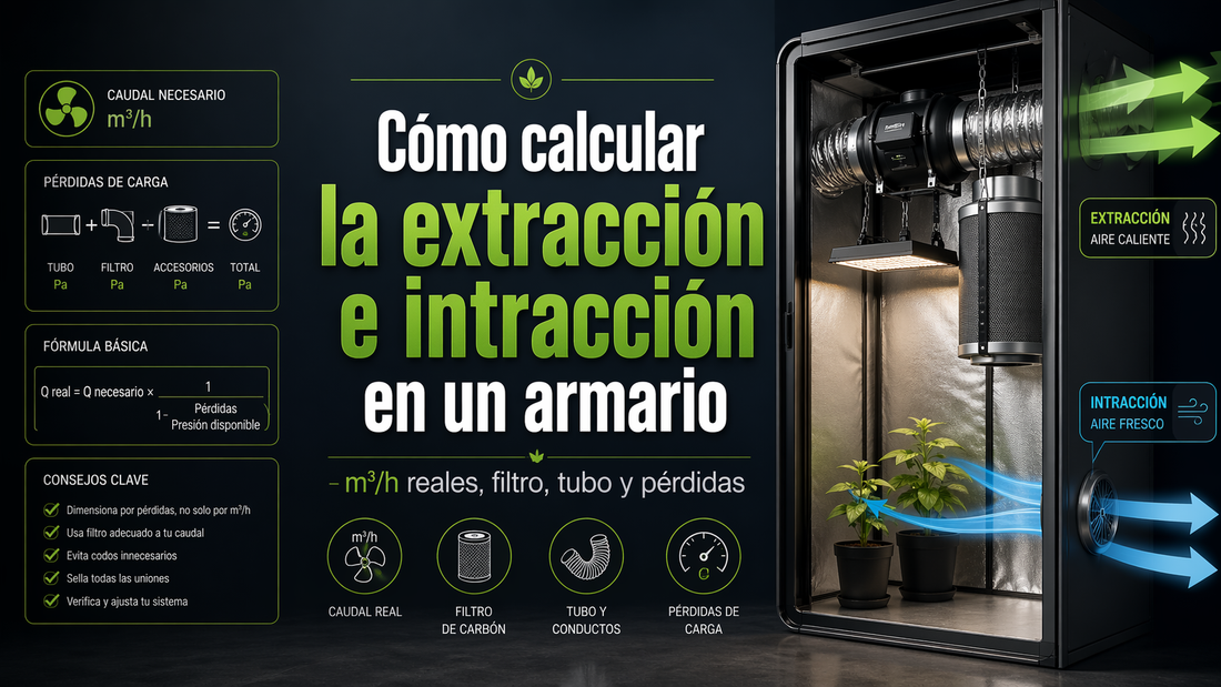 extracción e intracción en un armario
