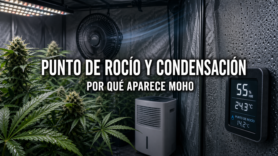 punto de rocío y condensación