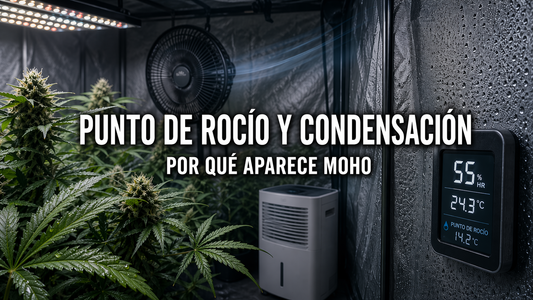 punto de rocío y condensación