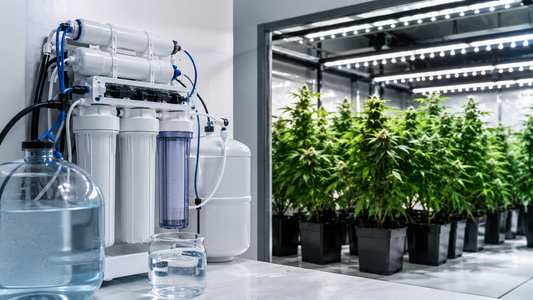 Ósmosis inversa en cultivo interior: cuándo compensa y cuándo no