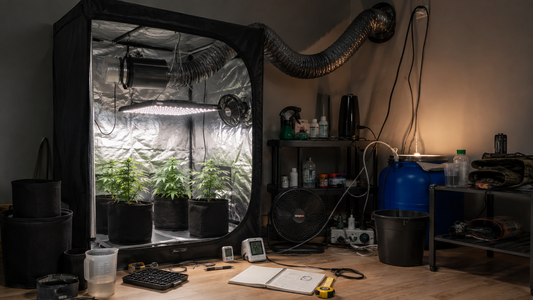 Errores que debes evitar al montar tu primer cultivo interior