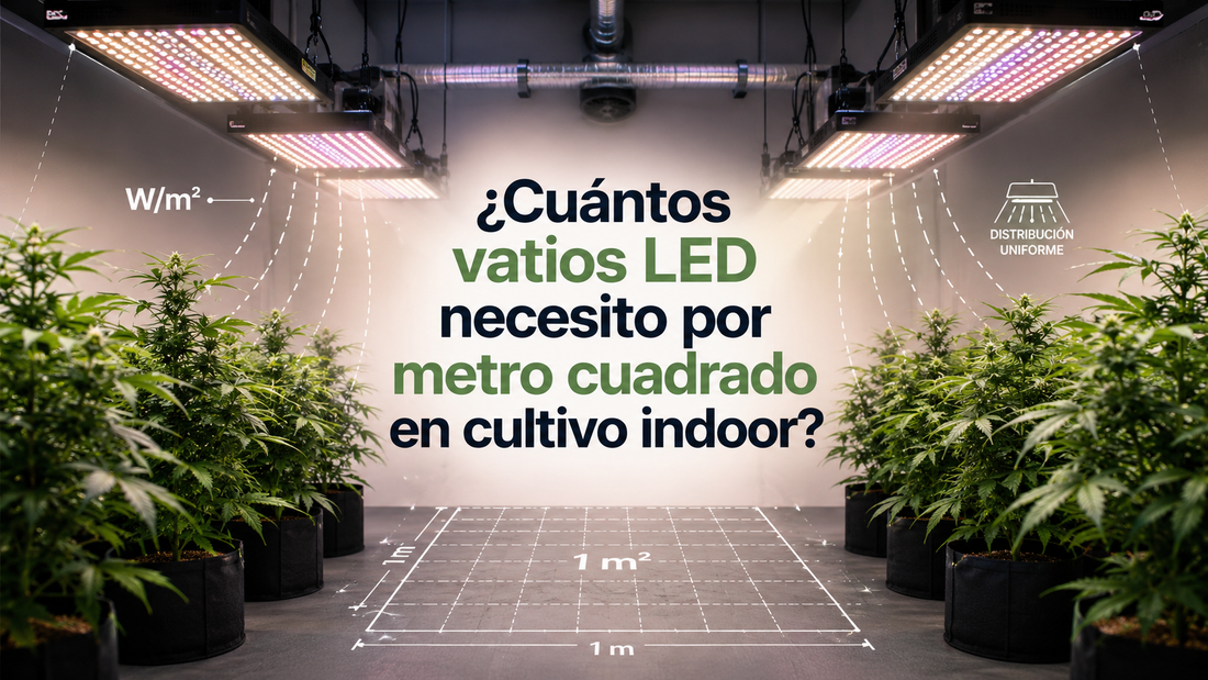 vatios LED por metro cuadrado