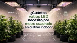 vatios LED por metro cuadrado
