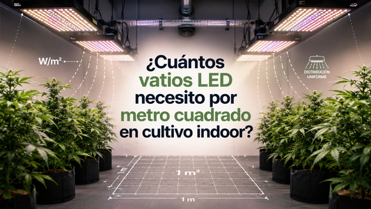 vatios LED por metro cuadrado