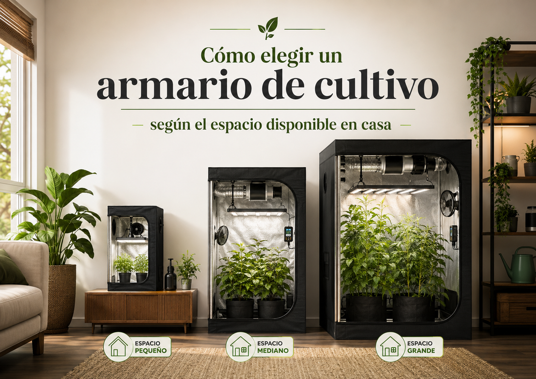 Cómo elegir un armario de cultivo según el espacio disponible en casa