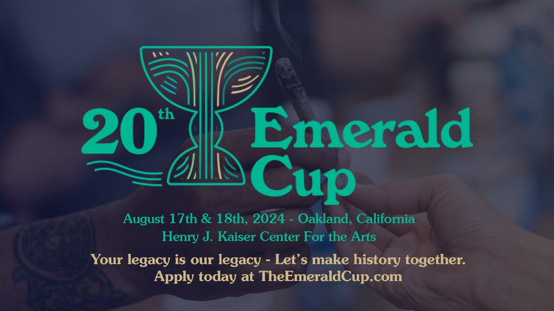 Emerald Cup 2025: Celebrando lo mejor del cannabis orgánico y sustentable