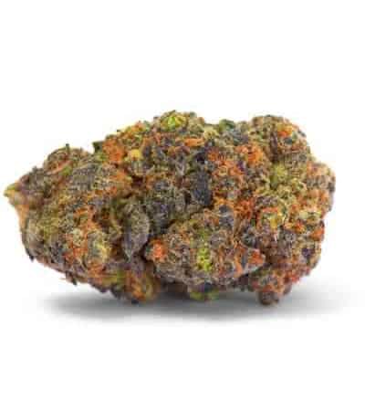 Gelato 33