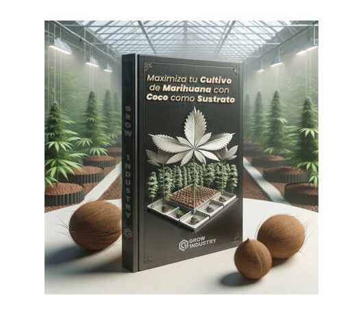 Maximiza tu Cultivo de Marihuana con Coco como Sustrato