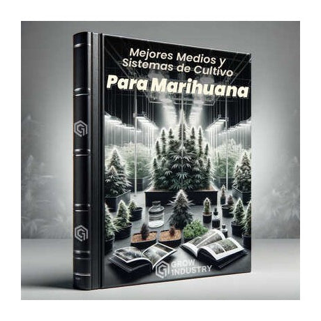 Mejores Medios y Sistemas de Cultivo para Marihuana