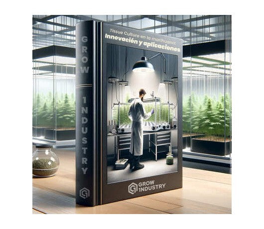 Tissue Culture en la marihuana: Innovación y aplicaciones