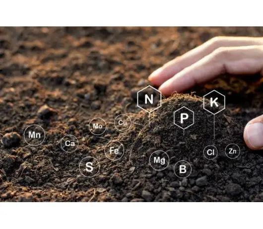 Mejores tipos de fertilizantes NPK (nitrogeno potasio y fosforo) - GrowTarraco Distribuciones SLU