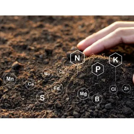 Mejores tipos de fertilizantes NPK (nitrogeno potasio y fosforo) - GrowTarraco Distribuciones SLU