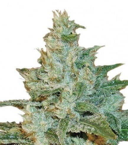 AK-47