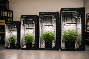 Comparativa visual de armarios de cultivo indoor para marihuana con diferentes tamaños y sistemas de iluminación LED