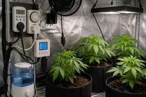 Cultivo indoor de marihuana con temporizadores, control de riego, humidificador y medidor de temperatura y humedad