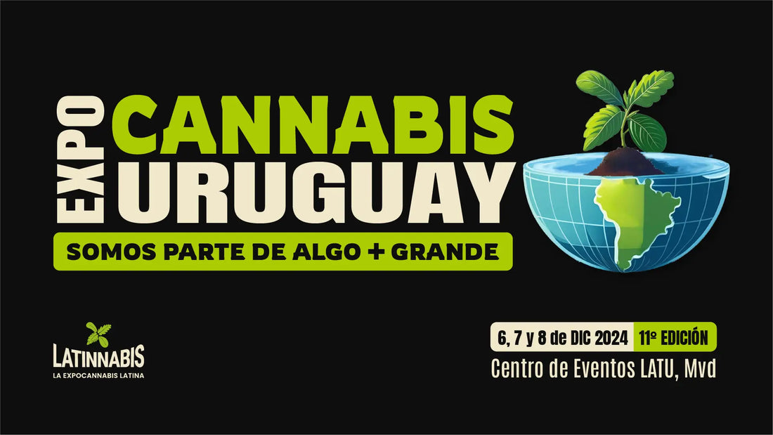 Expo Cannabis 2025: El encuentro que define el futuro del cannabis