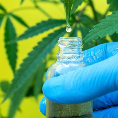 Beneficios del cbd y cómo usarlo - GrowTarraco Distribuciones SLU