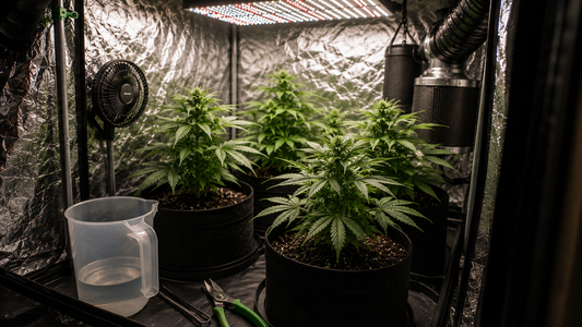 Armario de cultivo indoor de marihuana con plantas bajo luz LED, ventilación, extractor y herramientas de mantenimiento sin texto visible