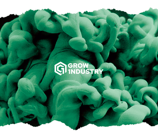 Formas efectivas de eliminar el olor de tu cultivo - GROW 1NDUSTRY