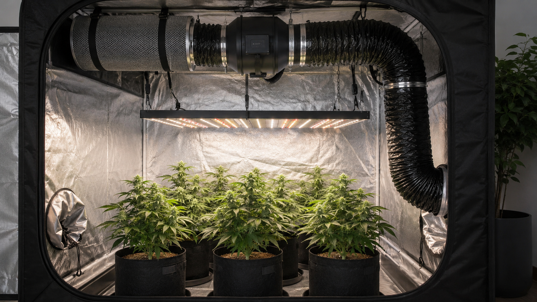 Armario de cultivo indoor de marihuana con extractor, filtro de carbón, tubo de ventilación y luz LED