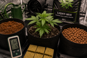 Cómo elegir el mejor sustrato para cultivo interior según tu forma de regar