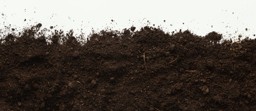 Las 3 mejores marcas de fertilizantes orgánicos - GrowTarraco Distribuciones SLU