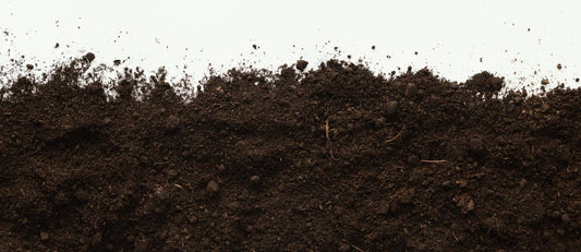 Las 3 mejores marcas de fertilizantes orgánicos - GrowTarraco Distribuciones SLU