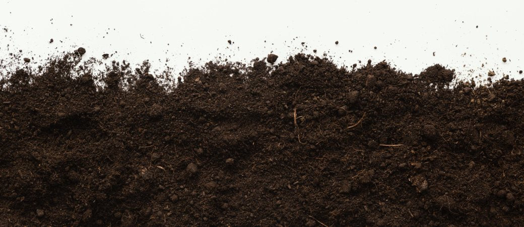 Las 3 mejores marcas de fertilizantes orgánicos - GROW 1NDUSTRY