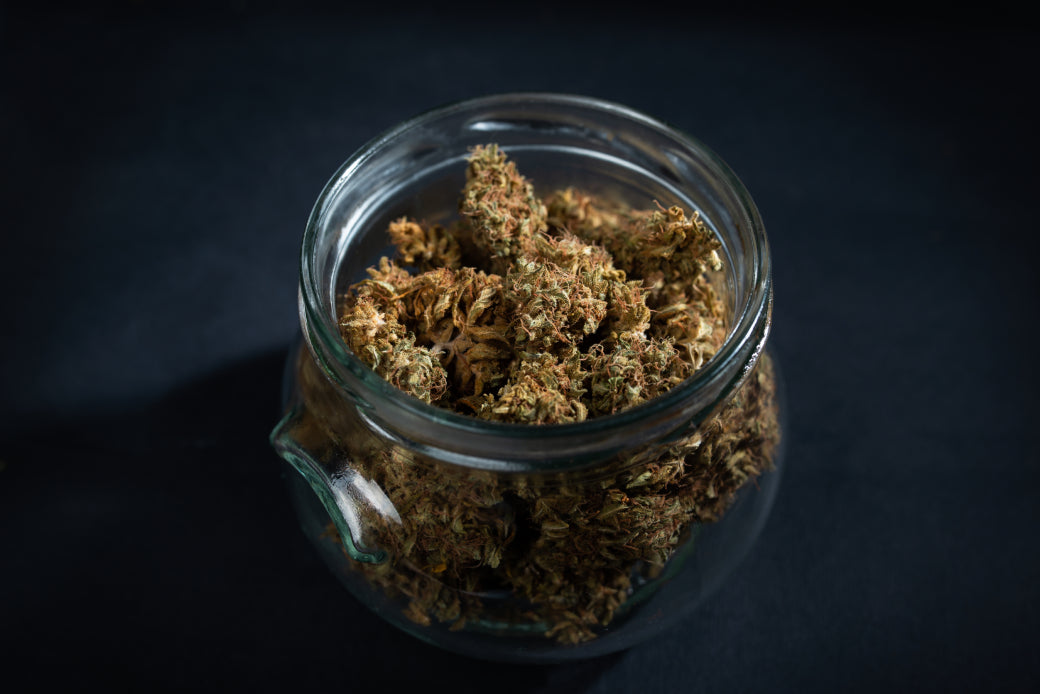 Prevenir y eliminar moho en cogollos curados - GrowTarraco Distribuciones SLU