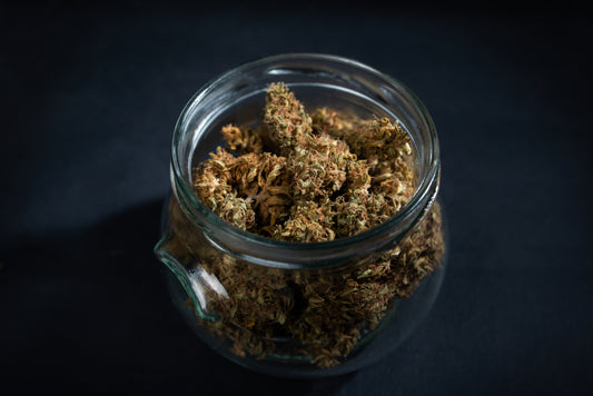Prevenir y eliminar moho en cogollos curados - GrowTarraco Distribuciones SLU
