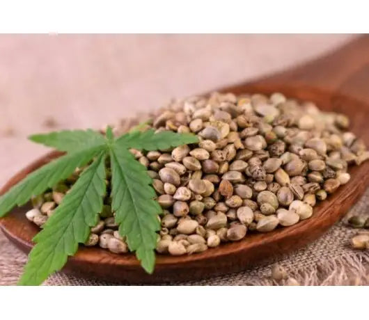 Generaciones de Semillas de Cannabis: F1, F2, F3 - GrowTarraco Distribuciones SLU