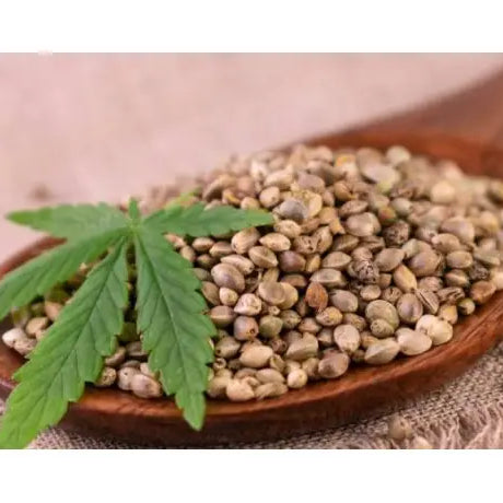 Generaciones de Semillas de Cannabis: F1, F2, F3 - GrowTarraco Distribuciones SLU