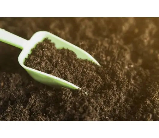 Cómo preparar la tierra para el cultivo de cannabis en exterior