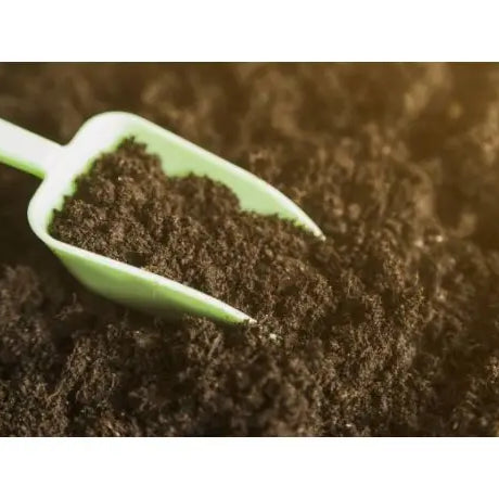 Cómo preparar la tierra para el cultivo de cannabis en exterior