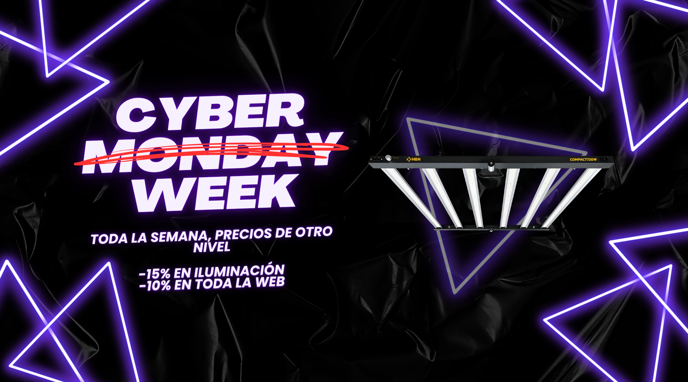 Cyber Monday